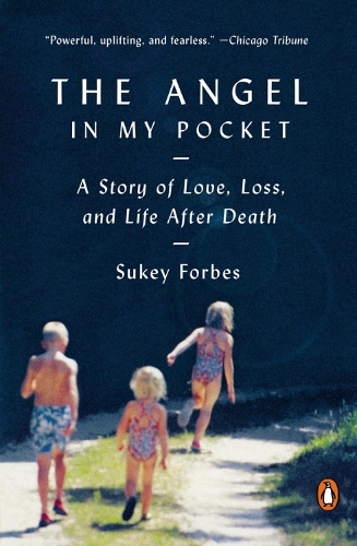The Angel In My Pocket: A Story of Love, Loss and Life After Death (Paperback)
