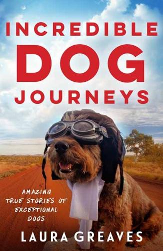 Incredible Dog Journeys (Paperback)