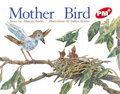 Mother Bird (Paperback)