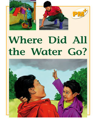 Where Did All the Water Go? (Paperback)