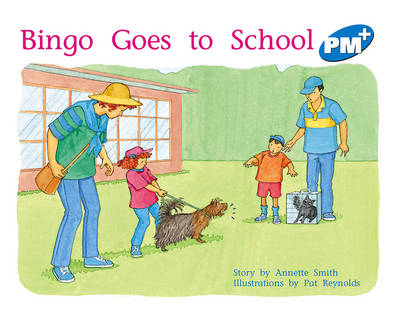 Bingo Goes to School (Paperback)