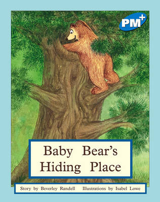 Baby Bear's Hiding Place (Paperback)