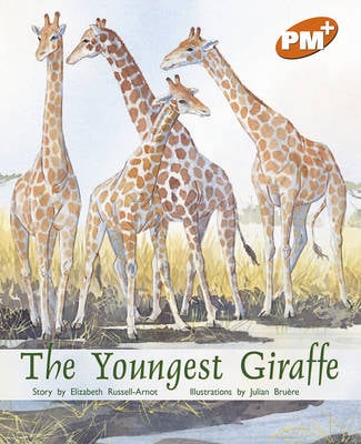 The Youngest Giraffe (Paperback)