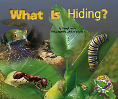 What Is Hiding? (Paperback)