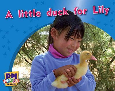 A little duck for Lily (Paperback)