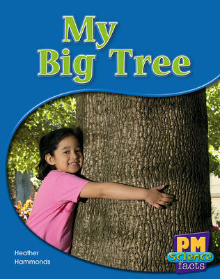 My Big Tree (Paperback)