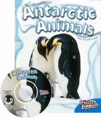 Antarctic Animals (Paperback)