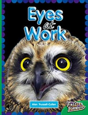Eyes at Work (Paperback)