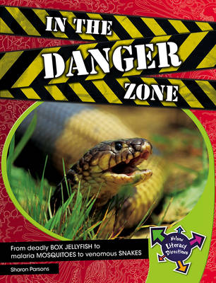 In The Danger Zone (Paperback)