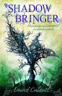 Shadow Bringer (Paperback)