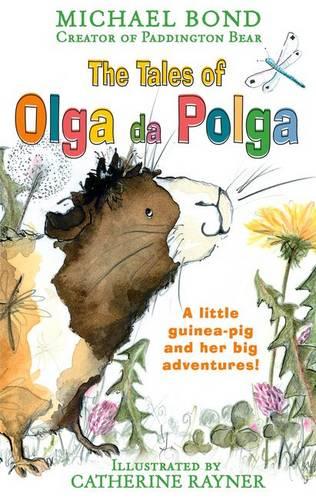 The Tales of Olga Da Polga (Paperback)