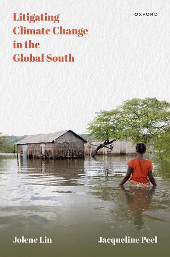Litigating Climate Change in the Global South (Hardback)