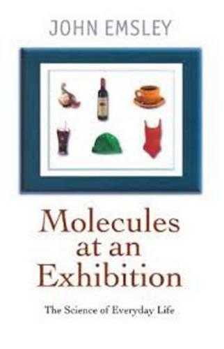 Molecules at an Exhibition: Portraits of Intriguing Materials in Everyday Life (Paperback)