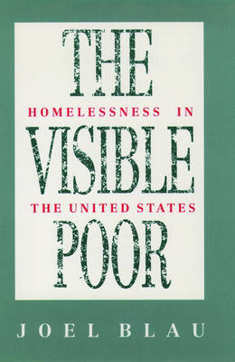 The Visible Poor: Homelessness in the United States (Paperback)