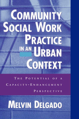 Community Social Work Practice in an Urban Context: The Potential of a Capacity Enhancement Perspective (Hardback)