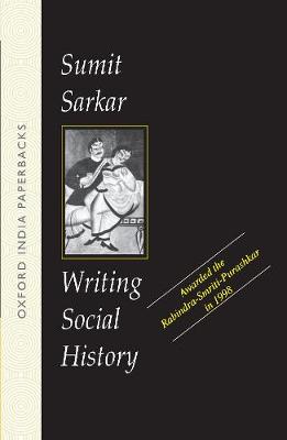 Writing Social History (Paperback)