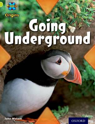 Project X Origins: Lime Book Band, Oxford Level 11: Underground: Going Underground - Project X Origins (Paperback)