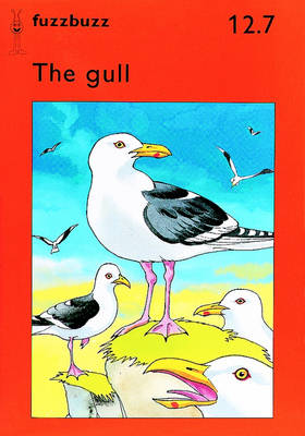 Fuzzbuzz: Storybooks Level 2B: A Remedial Reading Scheme
