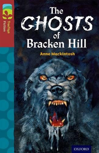 Oxford Reading Tree TreeTops Fiction: Level 15: The Ghosts of Bracken Hill - Oxford Reading Tree TreeTops Fiction (Paperback)