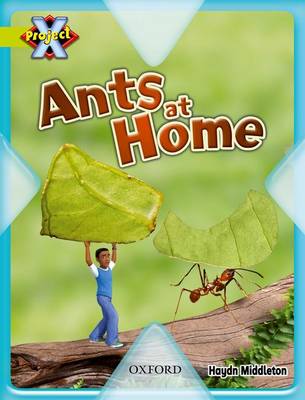 Project X: Underground: Ants at Home (Paperback)