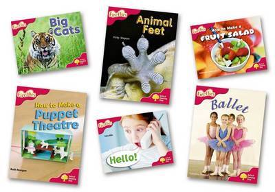 Oxford Reading Tree: Level 4: More Fireflies A: Pack (6 books, 1 of each title) - Oxford Reading Tree