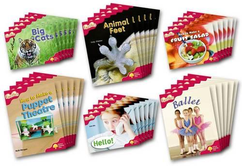 Oxford Reading Tree: Level 4: More Fireflies A: Class Pack (36 books, 6 of each title) - Oxford Reading Tree