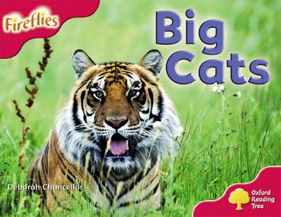 Oxford Reading Tree: Level 4: More Fireflies A: Big Cats - Oxford Reading Tree (Paperback)