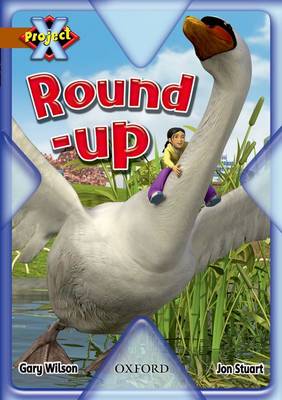 Project X: Brown: Conflict: Round-up (Paperback)