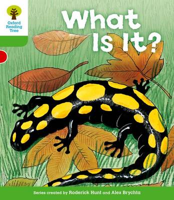 Oxford Reading Tree: Level 2: More Patterned Stories A: What Is It? - Oxford Reading Tree (Paperback)