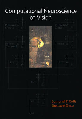 Computational Neuroscience of Vision (Hardback)