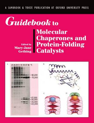 Guidebook to Molecular Chaperones and Protein-Folding Catalysts - Sambrook & Tooze Guidebook Series (Paperback)