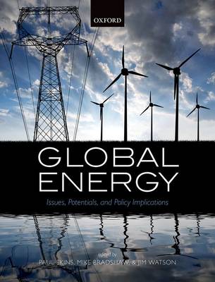 Global Energy: Issues, Potentials, and Policy Implications (Paperback)