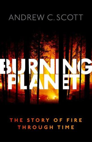 Burning Planet: The Story of Fire Through Time (Hardback)