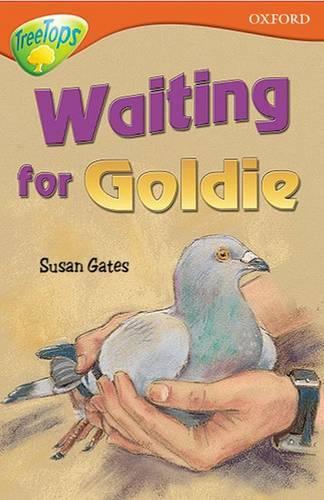 Oxford Reading Tree: Level 13: Treetops Stories: Waiting for Goldie (Paperback)