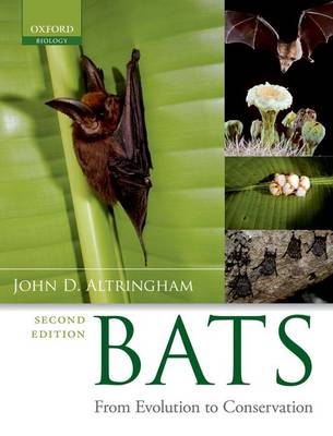 Bats: From Evolution to Conservation (Paperback)