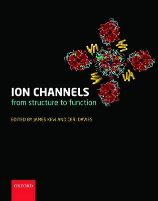 Ion Channels: From Structure to Function (Hardback)