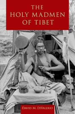 The Holy Madmen of Tibet (Paperback)