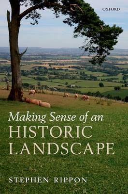 Making Sense of an Historic Landscape (Hardback)