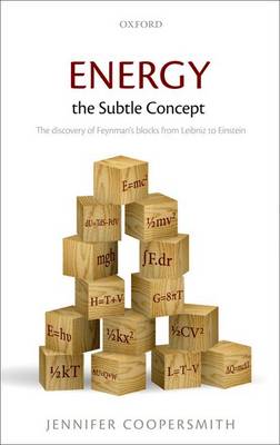 Energy, the Subtle Concept: The discovery of Feynman's blocks from Leibniz to Einstein (Hardback)