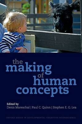The Making of Human Concepts - Developmental Cognitive Neuroscience (Paperback)