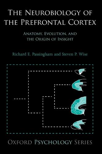 The Neurobiology of the Prefrontal Cortex: Anatomy, Evolution, and the Origin of Insight - Oxford Psychology Series (Hardback)