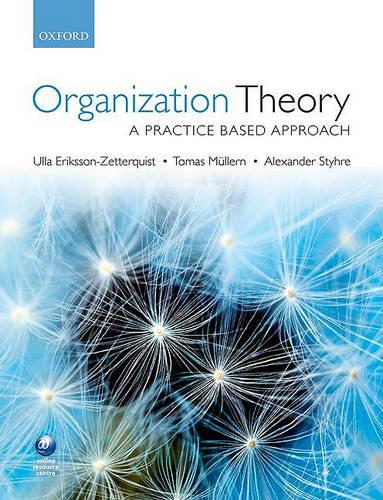 Organization Theory: A Practice Based Approach (Paperback)