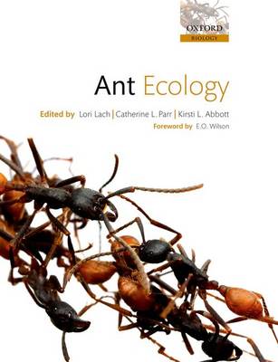 Ant Ecology (Paperback)
