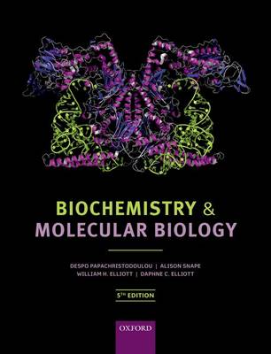 biochemistry and molecular biology education review time