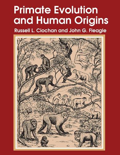 Primate Evolution and Human Origins (Paperback)