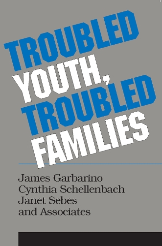 Troubled Youth, Troubled Families: Understanding Families at Risk for Adolescent Maltreatment (Paperback)