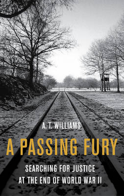 A Passing Fury, A (Hardback)