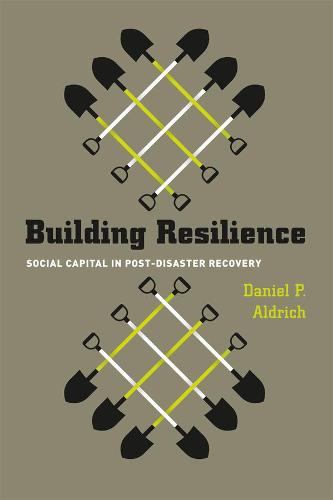 Building Resilience: Social Capital in Post-Disaster Recovery - Emersion: Emergent Village resources for communities of faith (Hardback)