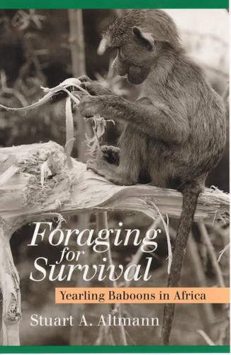 Foraging for Survival: Yearling Baboons in Africa (Paperback)