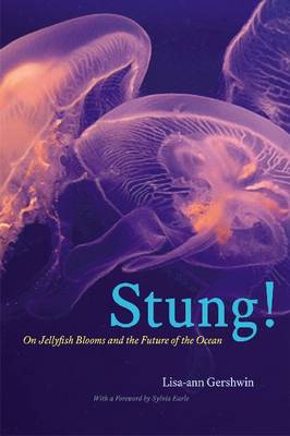 Stung!: On Jellyfish Blooms and the Future of the Ocean (Hardback)